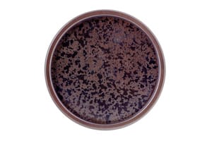 大(61φ)