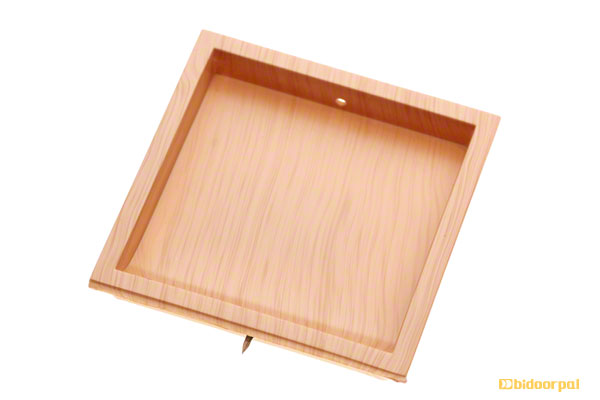 大(55×55)
