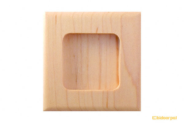 大(48φ)