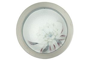‐
