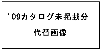 サイズ大