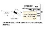 ‐